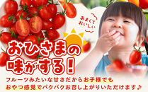 ［2026年4月出荷分］和歌山産ミニトマト「アイコトマト」約1kg（S・Mサイズおまかせ）［TM231］