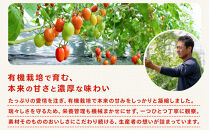 ［2026年6月出荷分］和歌山産ミニトマト「アイコトマト」約1kg（S・Mサイズおまかせ）［TM233］