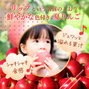 【8月中旬発送&nbsp;先行予約】樹上熟成　シナノリップ&nbsp;3kg