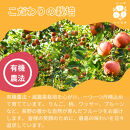 【8月中旬発送&nbsp;先行予約】樹上熟成　シナノリップ&nbsp;3kg
