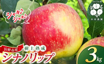 フルーツファーム中村農園　【8月中旬発送&nbsp;先行予約】樹上熟成　シナノリップ&nbsp;3kg&nbsp;|&nbsp;&nbsp;りんご&nbsp;シナノリップ&nbsp;&nbsp;信州&nbsp;林檎&nbsp;果物&nbsp;フルーツ&nbsp;夏りんご&nbsp;人気&nbsp;おすすめ&nbsp;&nbsp;&nbsp;ギフト&nbsp;家庭用&nbsp;送料無料&nbsp;長野県&nbsp;長野市&nbsp;信州&nbsp;信濃&nbsp;ふるさと納税