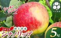 フルーツファーム中村農園　【8月中旬発送&nbsp;先行予約】樹上熟成　シナノリップ&nbsp;5kg&nbsp;|&nbsp;りんご&nbsp;シナノリップ&nbsp;&nbsp;信州&nbsp;林檎&nbsp;果物&nbsp;フルーツ&nbsp;夏りんご&nbsp;人気&nbsp;おすすめ&nbsp;&nbsp;&nbsp;ギフト&nbsp;家庭用&nbsp;送料無料&nbsp;長野県&nbsp;長野市&nbsp;信州&nbsp;信濃&nbsp;ふるさと納税