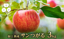 【8月下旬発送&nbsp;先行予約】樹上熟成　サンつがる&nbsp;3kg