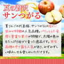 【8月下旬発送&nbsp;先行予約】樹上熟成　サンつがる&nbsp;3kg