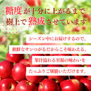 【8月下旬発送&nbsp;先行予約】樹上熟成　サンつがる&nbsp;3kg