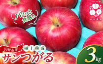 フルーツファーム中村農園　【8月下旬発送&nbsp;先行予約】樹上熟成　サンつがる&nbsp;3kg&nbsp;|&nbsp;りんご&nbsp;サンつがる&nbsp;林檎&nbsp;人気&nbsp;おすすめ&nbsp;果物&nbsp;フルーツ&nbsp;早生種&nbsp;贈答用&nbsp;ギフト&nbsp;送料無料&nbsp;長野県&nbsp;長野市&nbsp;信州&nbsp;信濃&nbsp;ふるさと納税