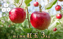 【9月下旬発送&nbsp;先行予約】樹上熟成　紅玉&nbsp;3kg