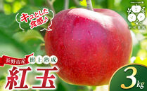 フルーツファーム中村農園　【9月下旬発送&nbsp;先行予約】樹上熟成　紅玉&nbsp;3kg&nbsp;|&nbsp;&nbsp;りんご&nbsp;紅玉&nbsp;林檎&nbsp;人気&nbsp;おすすめ&nbsp;果物&nbsp;フルーツ&nbsp;赤いりんご&nbsp;アップルパイ&nbsp;製菓用&nbsp;加工用&nbsp;送料無料&nbsp;長野県&nbsp;長野市&nbsp;信州&nbsp;信濃&nbsp;ふるさと納税