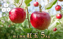 【9月下旬発送&nbsp;先行予約】樹上熟成　紅玉&nbsp;5kg