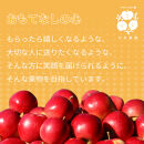 【9月下旬発送&nbsp;先行予約】樹上熟成　紅玉&nbsp;5kg