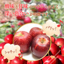 【10月上旬発送&nbsp;先行予約】樹上熟成　秋映&nbsp;3kg