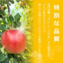 【10月中旬発送&nbsp;先行予約】樹上熟成　シナノスイート&nbsp;3kg