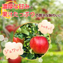 【10月中旬発送&nbsp;先行予約】樹上熟成　シナノスイート&nbsp;5kg