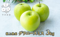 【10月下旬発送&nbsp;先行予約】樹上熟成　グラニースミス&nbsp;3kg