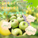 【10月下旬発送&nbsp;先行予約】樹上熟成　グラニースミス&nbsp;3kg