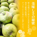 【10月下旬発送&nbsp;先行予約】樹上熟成　グラニースミス&nbsp;3kg