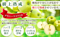 フルーツファーム中村農園　【10月下旬発送&nbsp;先行予約】樹上熟成　グラニースミス&nbsp;3kg&nbsp;|&nbsp;&nbsp;りんご&nbsp;グラニースミス&nbsp;グリーンアップル&nbsp;林檎&nbsp;アップルパイ&nbsp;ジャム&nbsp;加工用&nbsp;生食用&nbsp;果物&nbsp;フルーツ&nbsp;青りんご&nbsp;料理用&nbsp;製菓用&nbsp;送料無料&nbsp;長野県&nbsp;長野市&nbsp;信州&nbsp;信濃&nbsp;ふるさと納税