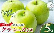 フルーツファーム中村農園　【10月下旬発送&nbsp;先行予約】樹上熟成　グラニースミス&nbsp;5kg&nbsp;|&nbsp;&nbsp;りんご&nbsp;グラニースミス&nbsp;グリーンアップル&nbsp;林檎&nbsp;アップルパイ&nbsp;ジャム&nbsp;加工用&nbsp;生食用&nbsp;果物&nbsp;フルーツ&nbsp;青りんご&nbsp;料理用&nbsp;製菓用&nbsp;送料無料&nbsp;長野県&nbsp;長野市&nbsp;信州&nbsp;信濃&nbsp;ふるさと納税