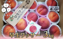 【7月中旬発送&nbsp;先行予約】早生ワッサー&nbsp;3kg