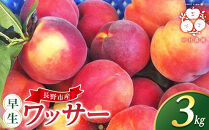 フルーツファーム中村農園　【7月中旬発送&nbsp;先行予約】早生ワッサー&nbsp;3kg&nbsp;|&nbsp;&nbsp;ワッサー&nbsp;早生&nbsp;桃&nbsp;もも&nbsp;モモ&nbsp;希少品種&nbsp;ネクタリン&nbsp;プラム&nbsp;人気&nbsp;おすすめ&nbsp;果物&nbsp;フルーツ&nbsp;旬&nbsp;&nbsp;贈答用&nbsp;ギフト&nbsp;送料無料&nbsp;長野県&nbsp;長野市&nbsp;信州&nbsp;信濃&nbsp;ふるさと納税