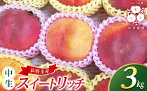 フルーツファーム中村農園　【7月下旬～8月中旬発送&nbsp;先行予約】スイートリッチ&nbsp;3kg(中生ワッサー）&nbsp;|&nbsp;&nbsp;ワッサー&nbsp;スイートリッチ&nbsp;早生&nbsp;桃&nbsp;もも&nbsp;モモ&nbsp;希少品種&nbsp;ネクタリン&nbsp;プラム&nbsp;人気&nbsp;おすすめ&nbsp;果物&nbsp;フルーツ&nbsp;贈答用&nbsp;ギフト&nbsp;送料無料&nbsp;長野県&nbsp;長野市&nbsp;信州&nbsp;信濃&nbsp;ふるさと納税