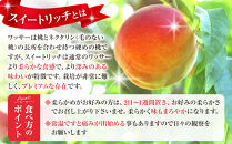 フルーツファーム中村農園　【7月下旬～8月中旬発送&nbsp;先行予約】スイートリッチ&nbsp;3kg(中生ワッサー）&nbsp;|&nbsp;&nbsp;ワッサー&nbsp;スイートリッチ&nbsp;早生&nbsp;桃&nbsp;もも&nbsp;モモ&nbsp;希少品種&nbsp;ネクタリン&nbsp;プラム&nbsp;人気&nbsp;おすすめ&nbsp;果物&nbsp;フルーツ&nbsp;贈答用&nbsp;ギフト&nbsp;送料無料&nbsp;長野県&nbsp;長野市&nbsp;信州&nbsp;信濃&nbsp;ふるさと納税