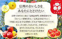 フルーツファーム中村農園　【7月下旬～8月中旬発送&nbsp;先行予約】スイートリッチ&nbsp;3kg(中生ワッサー）&nbsp;|&nbsp;&nbsp;ワッサー&nbsp;スイートリッチ&nbsp;早生&nbsp;桃&nbsp;もも&nbsp;モモ&nbsp;希少品種&nbsp;ネクタリン&nbsp;プラム&nbsp;人気&nbsp;おすすめ&nbsp;果物&nbsp;フルーツ&nbsp;贈答用&nbsp;ギフト&nbsp;送料無料&nbsp;長野県&nbsp;長野市&nbsp;信州&nbsp;信濃&nbsp;ふるさと納税