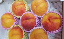 【8月下旬発送&nbsp;先行予約】ワッサー&nbsp;3kg