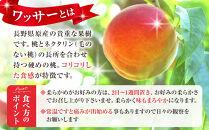 フルーツファーム中村農園　【8月中旬～順次発送&nbsp;先行予約】ワッサー&nbsp;3kg&nbsp;|&nbsp;&nbsp;ワッサー&nbsp;桃&nbsp;ネクタリン&nbsp;プラム&nbsp;大玉&nbsp;&nbsp;人気&nbsp;おすすめ&nbsp;果物&nbsp;フルーツ&nbsp;旬&nbsp;希少品種&nbsp;贈答用&nbsp;ギフト&nbsp;送料無料&nbsp;長野県&nbsp;長野市&nbsp;信州&nbsp;信濃&nbsp;ふるさと納税