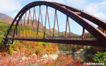 【裾花川本流・支流】　裾花川水系漁協　デジタル遊漁券　年券　アユ以外の魚種　長野県　長野市　