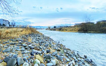 【裾花川本流・支流】　裾花川水系漁協　デジタル遊漁券　年券　アユ以外の魚種　長野県　長野市　