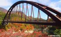 【裾花川本流・支流】　裾花川水系漁協　デジタル遊漁券　1日券　アユ以外の魚種　長野県　長野市　