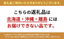 長芋（春堀り）5kg