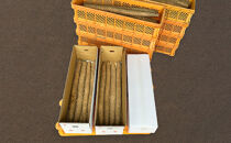 長芋（春堀り）5kg