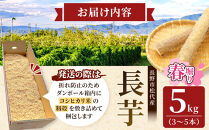 熊原果樹園　長芋（春堀り）5kg&nbsp;|&nbsp;長いも&nbsp;野菜&nbsp;根菜&nbsp;とろろ&nbsp;シャキシャキ&nbsp;食感&nbsp;粘り&nbsp;松代産&nbsp;&nbsp;特産品&nbsp;人気&nbsp;おすすめ&nbsp;送料無料&nbsp;長野県&nbsp;長野市&nbsp;信州&nbsp;信濃&nbsp;ふるさと納税