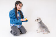 Chillわんプラチナアップル&nbsp;|&nbsp;セミドライフルーツ&nbsp;愛犬&nbsp;犬&nbsp;長野市産&nbsp;人気&nbsp;おすすめ&nbsp;りんご&nbsp;林檎&nbsp;フルーツ&nbsp;果物&nbsp;ドライフルーツ&nbsp;おやつ&nbsp;お菓子&nbsp;送料無料&nbsp;長野県&nbsp;長野市&nbsp;信州&nbsp;信濃&nbsp;ふるさと納税