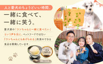 豆乳ヨーグルトアイスセット(信州りんご果肉入り)&nbsp;豆乳ヨーグルトアイス120ml×4個&nbsp;Chillわんオリジナルスプーン×1個&nbsp;|&nbsp;豆乳&nbsp;ヨーグルト&nbsp;アイス&nbsp;&nbsp;信州&nbsp;りんご&nbsp;果肉入り&nbsp;愛犬&nbsp;安心&nbsp;人気&nbsp;おすすめ&nbsp;スイーツ&nbsp;デザート&nbsp;ヘルシー&nbsp;フルーツ&nbsp;&nbsp;セット&nbsp;プレゼント&nbsp;送料無料&nbsp;長野県&nbsp;長野市&nbsp;信州&nbsp;信濃&nbsp;ふるさと納税