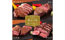 【8月発送】ステーキ屋が誇る広島牛よくばり詰め込みギフト(ヒレ/サーロイン/イチボ/ランプ各150g/コウネ250g)