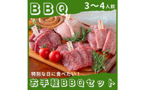 【4月発送】広島牛お手軽BBQセット&nbsp;3～4人前