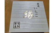 【先行予約】厳選いちご（やよいひめ）8粒と創作和紙人形セット【2027年2月発送】