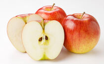 米山農園のおまかせりんご（シナノリップまたはサンつがる・シナノドルチェ・紅玉など）約3kg&nbsp;8月から順次発送