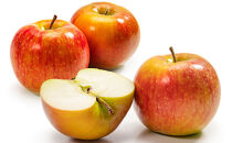 米山農園のおまかせりんご（シナノリップまたはサンつがる・シナノドルチェ・紅玉など）約3kg&nbsp;8月から順次発送