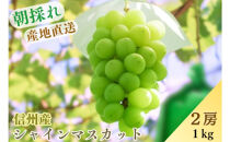 シャインマスカット約1kg
