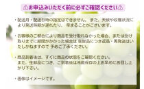 シャインマスカット約1kg