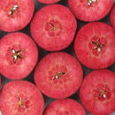 恋栞(こいしおり)りんごジュース＜無添加ストレート100％＞250ml×2本