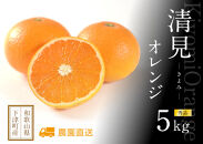 清見オレンジ&nbsp;約5kg&nbsp;M・L・2Lサイズおまかせ&nbsp;《赤秀》&nbsp;和歌山県産&nbsp;農園直送&nbsp;まごころ産直みかん&nbsp;【北海道・沖縄県・一部離島&nbsp;配送不可】Mサイズ&nbsp;Lサイズ&nbsp;LLサイズ&nbsp;みかん&nbsp;きよみ&nbsp;清見タンゴール&nbsp;清美&nbsp;柑橘&nbsp;贈答&nbsp;［Mg62］