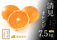 清見オレンジ&nbsp;約7.5kg&nbsp;M・L・2L・3Lサイズおまかせ&nbsp;《赤秀》&nbsp;和歌山県産&nbsp;農園直送&nbsp;まごころ産直みかん&nbsp;【北海道・沖縄県・一部離島&nbsp;配送不可】みかん&nbsp;きよみ&nbsp;清見タンゴール&nbsp;清美&nbsp;柑橘&nbsp;贈答&nbsp;［Mg63］