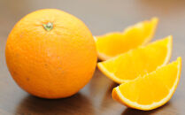 清見オレンジ&nbsp;約10kg&nbsp;M・L・2L・3Lサイズおまかせ&nbsp;《赤秀》&nbsp;和歌山県産&nbsp;農園直送&nbsp;まごころ産直みかん&nbsp;【北海道・沖縄県・一部離島&nbsp;配送不可】みかん&nbsp;きよみ&nbsp;清見タンゴール&nbsp;清美&nbsp;柑橘&nbsp;贈答&nbsp;［Mg64］