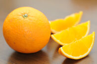 清見オレンジ&nbsp;約5kg&nbsp;大小混合&nbsp;《ご家庭用》&nbsp;ちょっと訳あり&nbsp;和歌山県産&nbsp;農園直送&nbsp;まごころ産直みかん&nbsp;【北海道・沖縄県・一部離島&nbsp;配送不可】&nbsp;［Mg65］