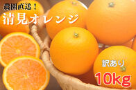 清見オレンジ&nbsp;約10kg&nbsp;大小混合&nbsp;《ご家庭用》&nbsp;ちょっと訳あり&nbsp;和歌山県産&nbsp;農園直送&nbsp;まごころ産直みかん&nbsp;【北海道・沖縄県・一部離島&nbsp;配送不可】訳アリ&nbsp;わけあり&nbsp;みかん&nbsp;きよみ&nbsp;清見タンゴール&nbsp;清美&nbsp;［Mg66］